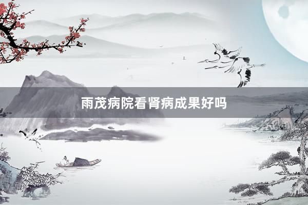 雨茂病院看肾病成果好吗