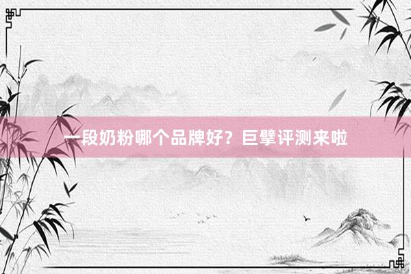 一段奶粉哪个品牌好？巨擘评测来啦