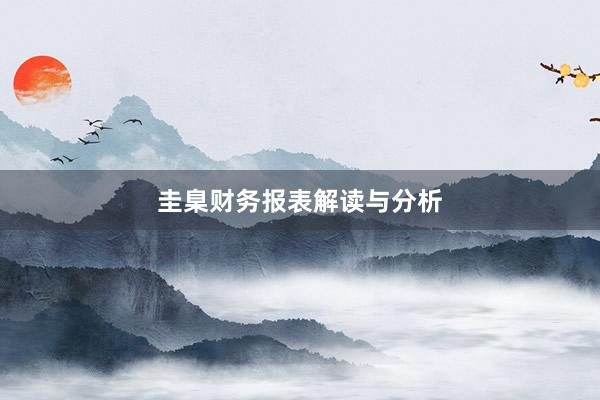 圭臬财务报表解读与分析