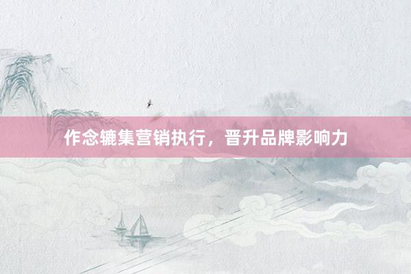 作念辘集营销执行，晋升品牌影响力