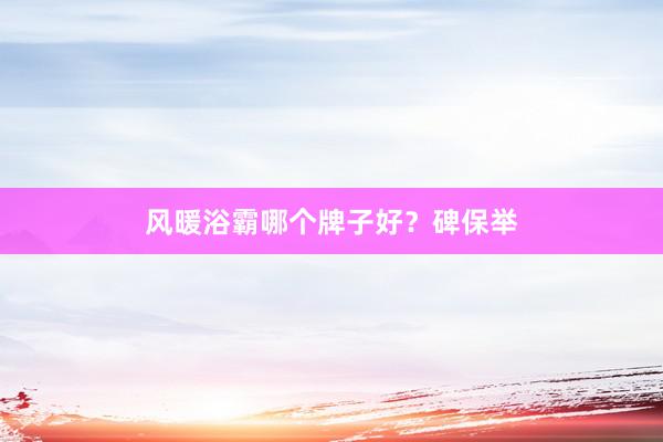 风暖浴霸哪个牌子好？碑保举